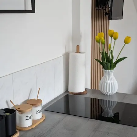 Rosa Rothenburg ob der Tauber