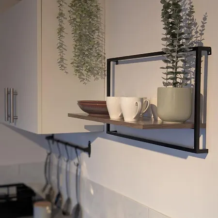 Rosa Rothenburg ob der Tauber