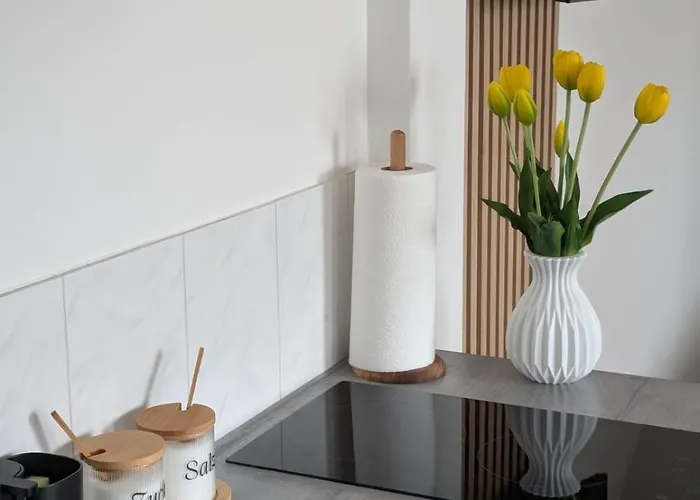 Rosa Rothenburg ob der Tauber