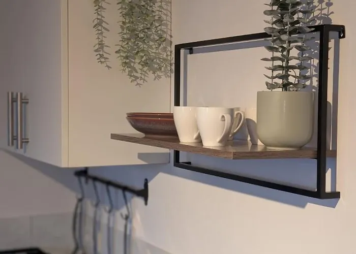 Rosa Rothenburg ob der Tauber